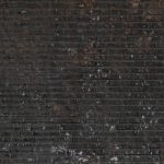 T-Rex Granite_TRG01